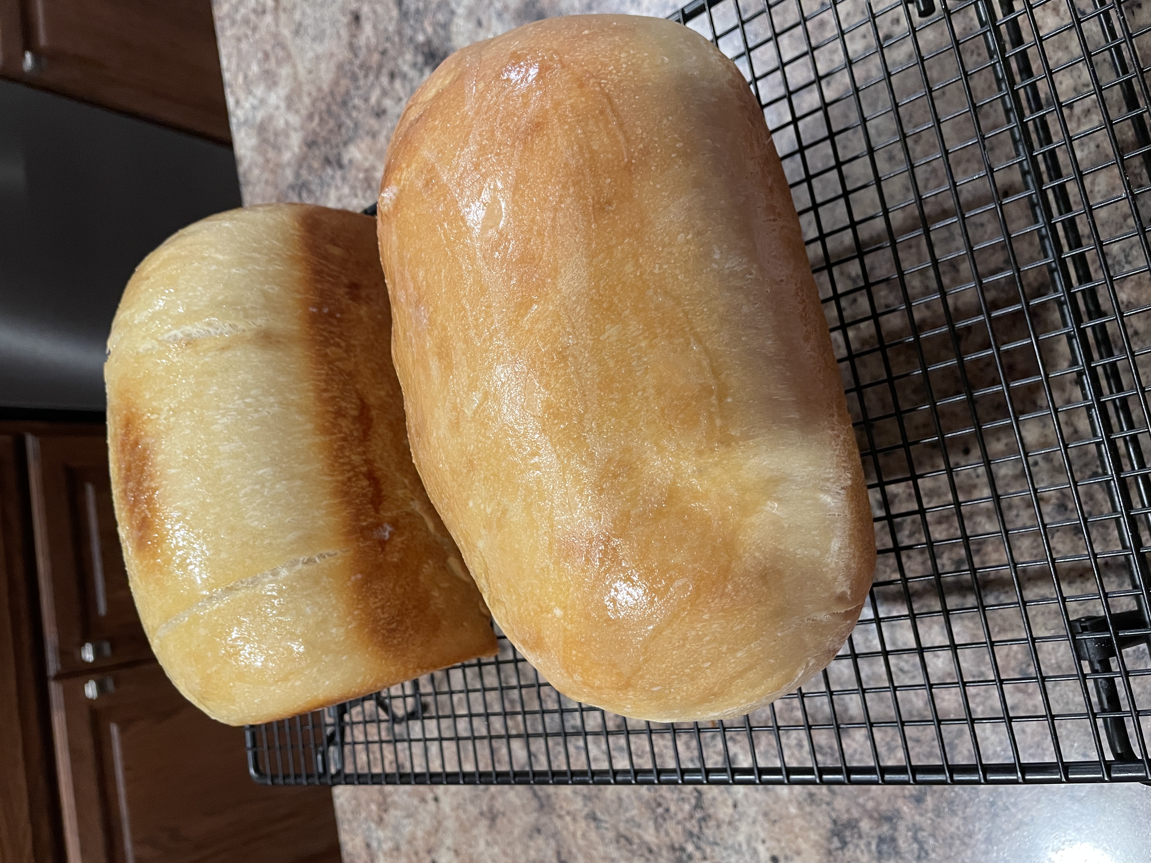 Sourdough or Yeast Sandwich Bread