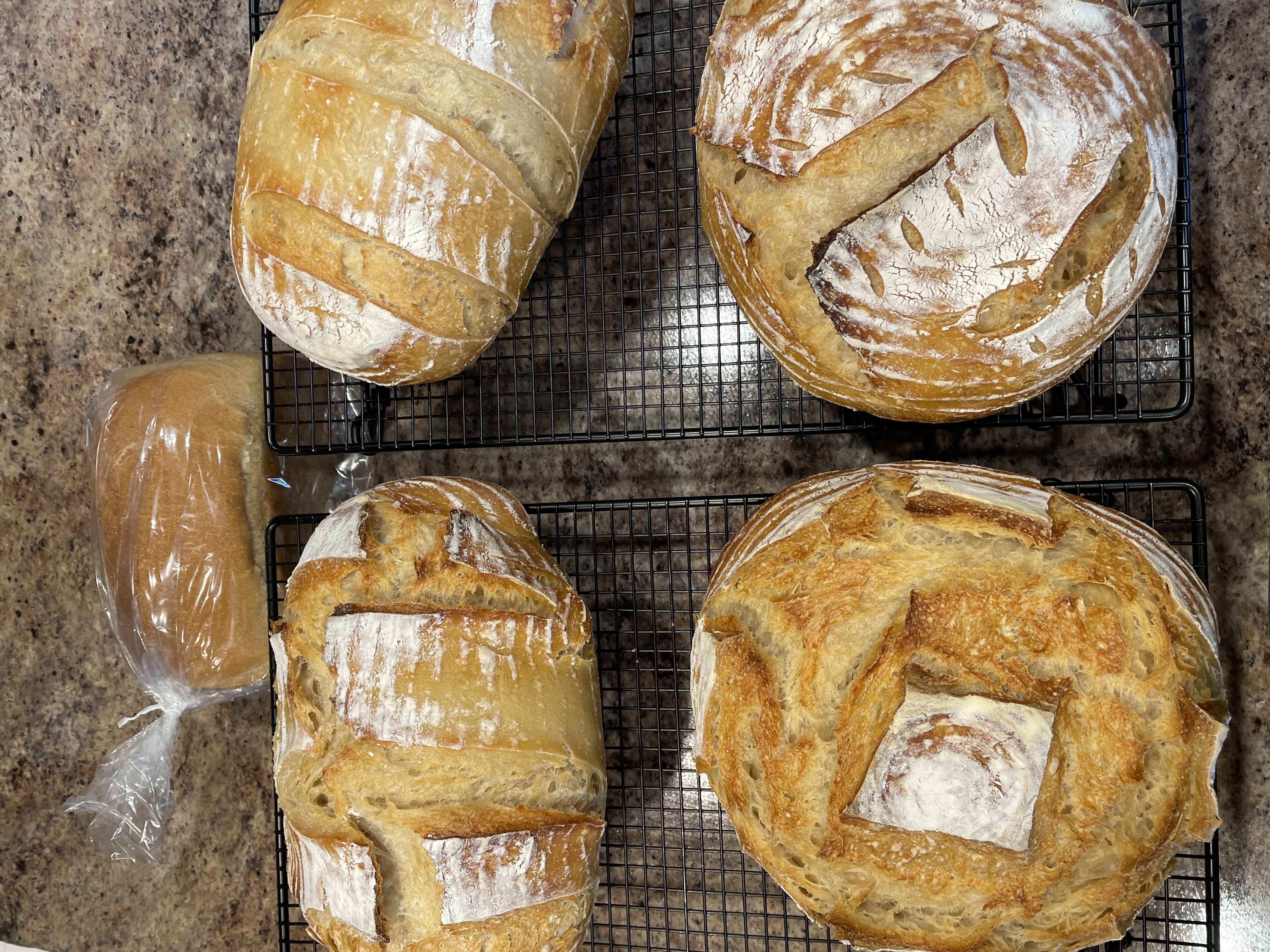 Sourdough Rustic Loaves